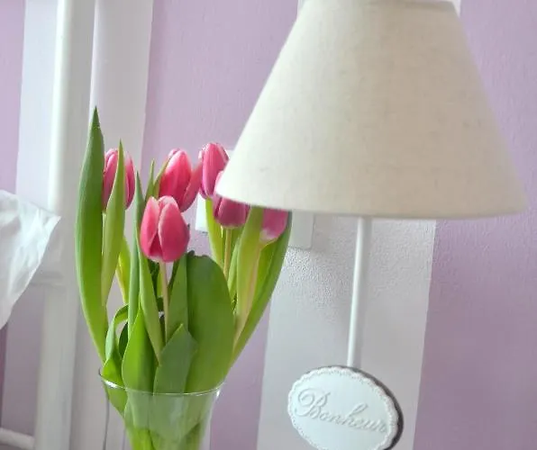 Il Ciliegio Casa de hóspedes