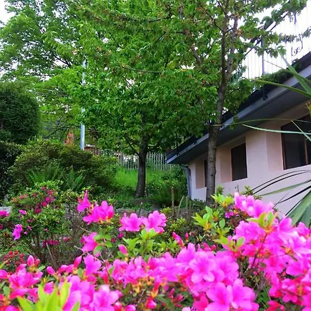 Πανσιόν Il Ciliegio 3*