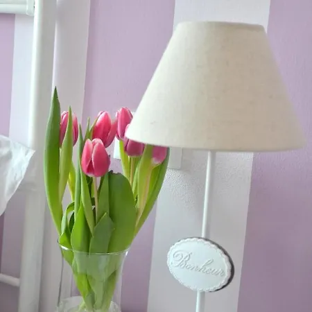 Il Ciliegio Πανσιόν