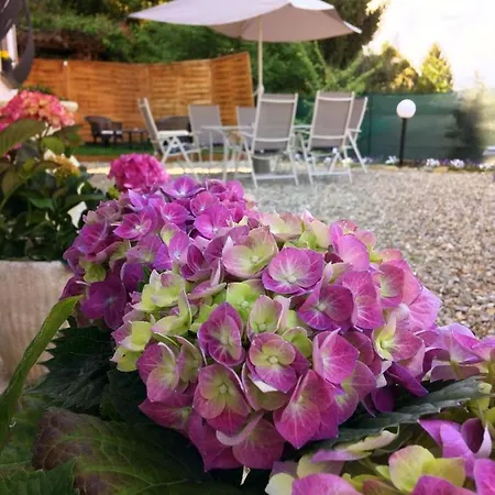 Πανσιόν Il Ciliegio